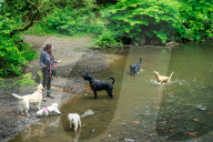 Parks at risk: ‘If it was not for the volunteers, we would struggle’