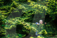 Parks at risk: ‘If it was not for the volunteers, we would struggle’