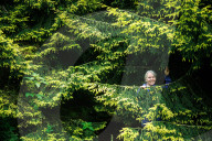 Parks at risk: ‘If it was not for the volunteers, we would struggle’