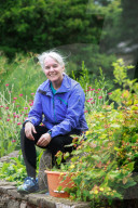 Parks at risk: ‘If it was not for the volunteers, we would struggle’