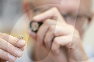 Hermes bags and Picassos: business booms for Britain's posh pawnbrokers
