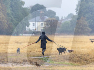 Yellow weather warnings for thunderstorms and heavy rain for the South East of England today.