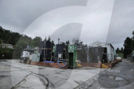 'It stinks': Windermere plagued by blue-green algae as 'toxic as cobra venom'