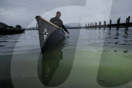 'It stinks': Windermere plagued by blue-green algae as 'toxic as cobra venom'