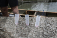'It stinks': Windermere plagued by blue-green algae as 'toxic as cobra venom'