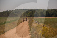 ‘We need reservoirs built’: drought leaves UK farms begging for government aid