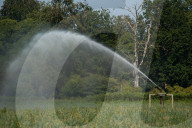 ‘We need reservoirs built’: drought leaves UK farms begging for government aid