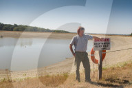 ‘We need reservoirs built’: drought leaves UK farms begging for government aid