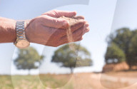 ‘We need reservoirs built’: drought leaves UK farms begging for government aid