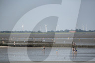 'We got too comfortable': the race to build an LNG terminal in north Germany.
