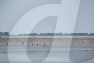 'We got too comfortable': the race to build an LNG terminal in north Germany.