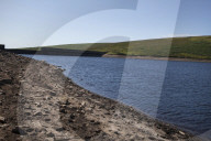 Drought, pollution, floods: Avon in Devon tells story of UK rivers in distress