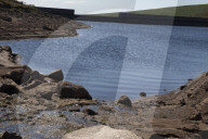 Drought, pollution, floods: Avon in Devon tells story of UK rivers in distress