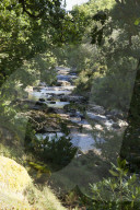 Drought, pollution, floods: Avon in Devon tells story of UK rivers in distress