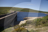 Drought, pollution, floods: Avon in Devon tells story of UK rivers in distress