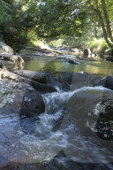 Drought, pollution, floods: Avon in Devon tells story of UK rivers in distress