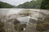 Drought, pollution, floods: Avon in Devon tells story of UK rivers in distress