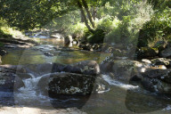 Drought, pollution, floods: Avon in Devon tells story of UK rivers in distress