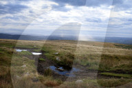 Drought, pollution, floods: Avon in Devon tells story of UK rivers in distress