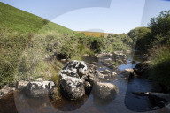 Drought, pollution, floods: Avon in Devon tells story of UK rivers in distress