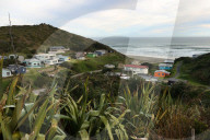 Rare, precious, smells like whale: hunting for ambergris in New Zealand
