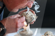 Rare, precious, smells like whale: hunting for ambergris in New Zealand