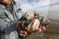 Rare, precious, smells like whale: hunting for ambergris in New Zealand