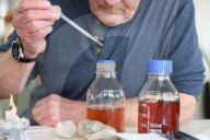 Rare, precious, smells like whale: hunting for ambergris in New Zealand