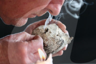 Rare, precious, smells like whale: hunting for ambergris in New Zealand