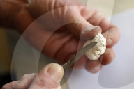 Rare, precious, smells like whale: hunting for ambergris in New Zealand