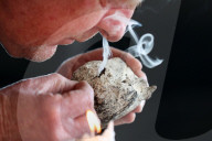 Rare, precious, smells like whale: hunting for ambergris in New Zealand