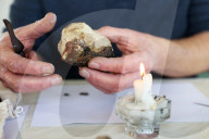 Rare, precious, smells like whale: hunting for ambergris in New Zealand