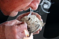 Rare, precious, smells like whale: hunting for ambergris in New Zealand