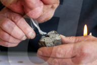 Rare, precious, smells like whale: hunting for ambergris in New Zealand