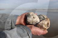 Rare, precious, smells like whale: hunting for ambergris in New Zealand