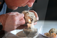 Rare, precious, smells like whale: hunting for ambergris in New Zealand