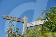 A great coast walk to a great pub: the Anchor Inn, Dorset