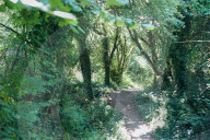 A great coast walk to a great pub: the Anchor Inn, Dorset