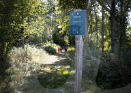 'It definitely isn't flat': Netherlands mountain trail proves an unlikely success