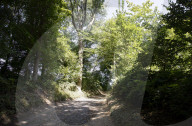 'It definitely isn't flat': Netherlands mountain trail proves an unlikely success