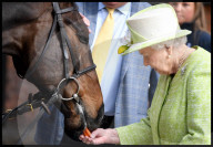 Her Majesty Queen Elizabeth II - File Pictures