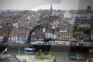 'We just want the truth': British coastal towns fight for answers over mystery sealife deaths
