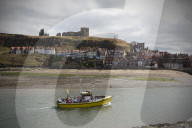 'We just want the truth': British coastal towns fight for answers over mystery sealife deaths