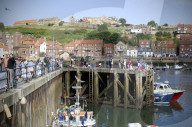 'We just want the truth': British coastal towns fight for answers over mystery sealife deaths