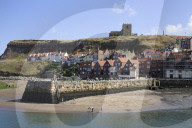 'We just want the truth': British coastal towns fight for answers over mystery sealife deaths