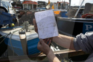 'We just want the truth': British coastal towns fight for answers over mystery sealife deaths