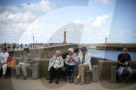 'We just want the truth': British coastal towns fight for answers over mystery sealife deaths