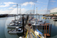 'We just want the truth': British coastal towns fight for answers over mystery sealife deaths