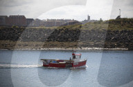 'We just want the truth': British coastal towns fight for answers over mystery sealife deaths