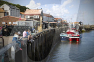 'We just want the truth': British coastal towns fight for answers over mystery sealife deaths